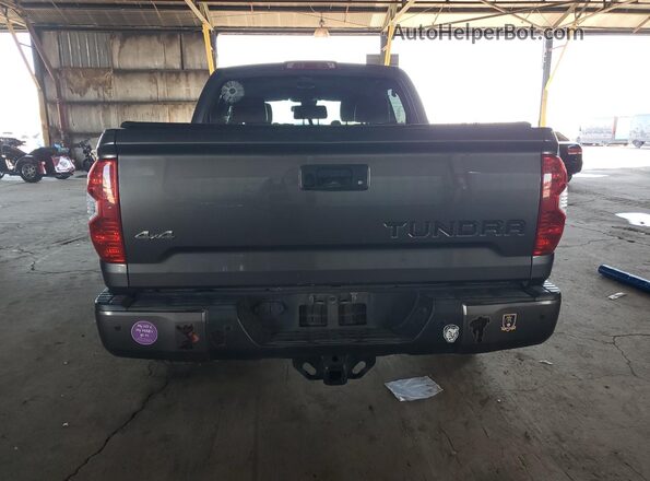 5TFAY5F1XKX841795 2019 TOYOTA TUNDRA Gray Հետևի տեսք