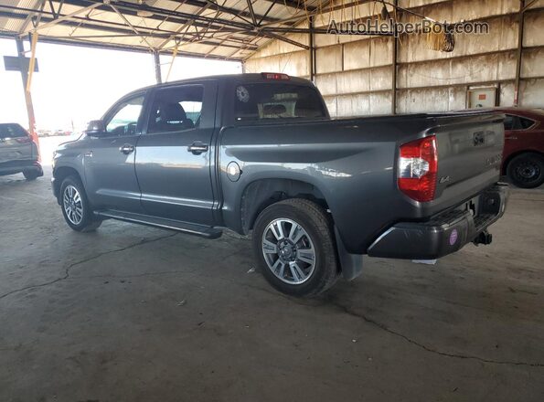 5TFAY5F1XKX841795 2019 TOYOTA TUNDRA Gray Հետևի ձախ