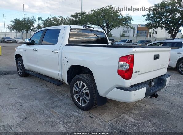5TFAY5F1XLX880632 2020 TOYOTA TUNDRA White Tył lewy