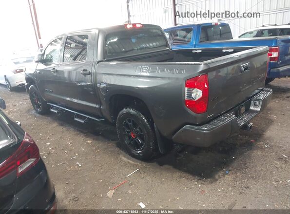 5TFDY5F18MX025653 2021 TOYOTA TUNDRA Gray Հետևի ձախ