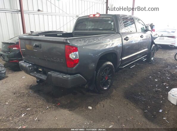 5TFDY5F18MX025653 2021 TOYOTA TUNDRA Gray Հետևի աջ