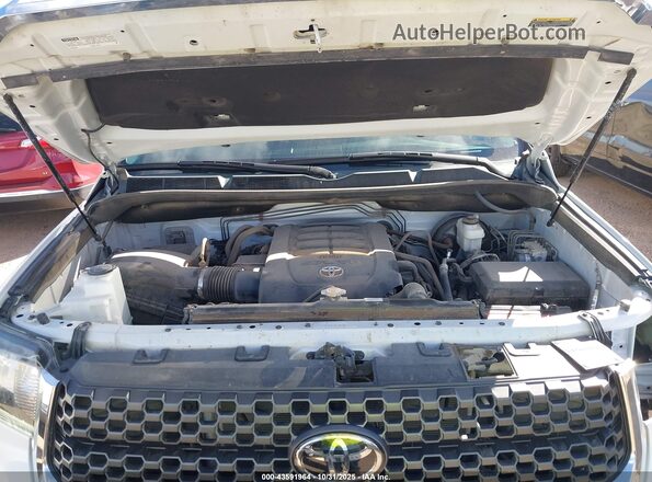 5TFDY5F19MX026679 2021 TOYOTA TUNDRA White Вид ззаду
