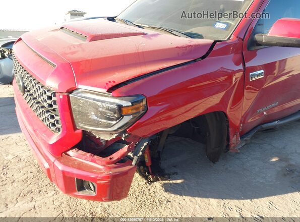 5TFEY5F12MX283848 2021 TOYOTA TUNDRA Red Вид спереду