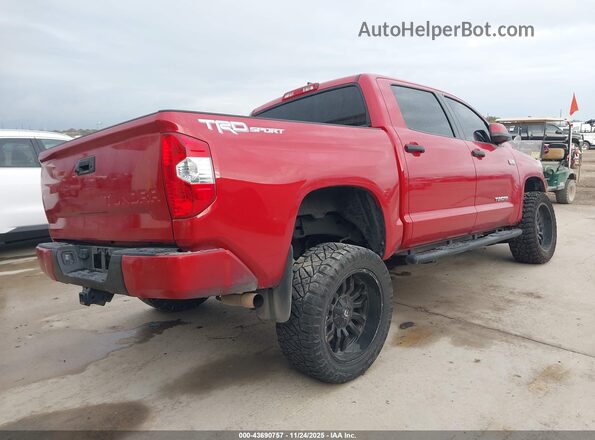 5TFEY5F12MX283848 2021 TOYOTA TUNDRA Red Задня права чверть