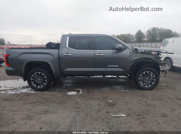 5TFJA5DB1RX219466 2024 TOYOTA LIMITED Серый Панорамный вид салона 360°