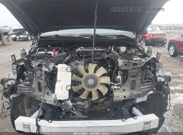 5TFJA5DB1RX219466 2024 TOYOTA LIMITED Серый Вид сзади