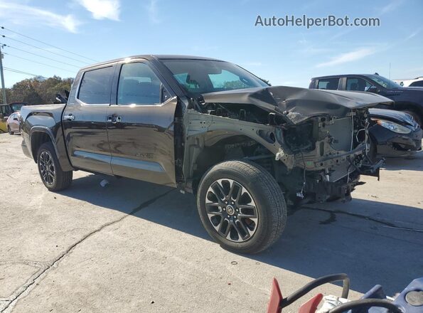5TFJA5DB5PX126124 2023 TOYOTA LIMITED Коричневый Передняя правая четверть