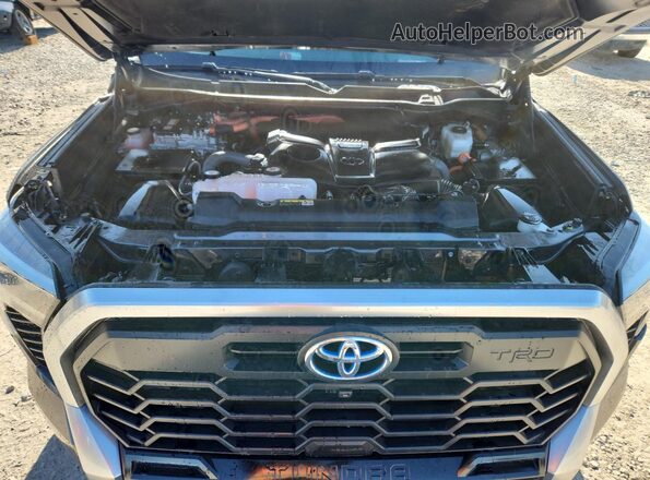 5TFJC5DB1PX036706 2023 TOYOTA LIMITED Black Вид задньої частини салону