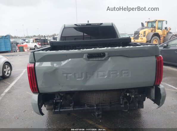 5TFLA5AB1PX028043 2023 TOYOTA TUNDRA Серый 