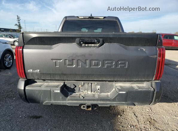 5TFLA5DB0NX024056 2022 TOYOTA TUNDRA Gray Widok z tyłu