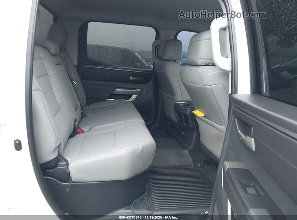 5TFLA5DB5RX199716 2024 TOYOTA TUNDRA Белый Вид наклейки с VIN-кодом
