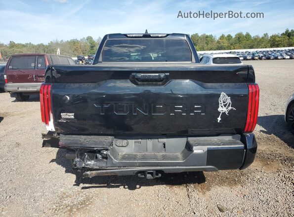 5TFLA5DB6PX107302 2023 TOYOTA TUNDRA Черный Вид сзади