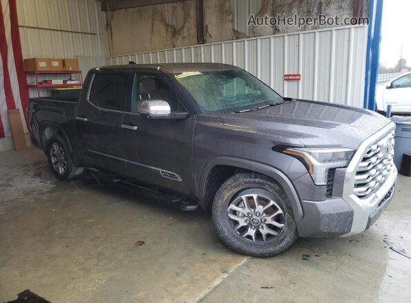 5TFMA5AB0PX025879 2023 TOYOTA TUNDRA Black წინა მარჯვენა