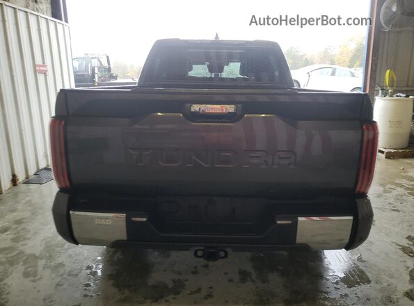5TFMA5AB0PX025879 2023 TOYOTA TUNDRA Black უკანა ხედი