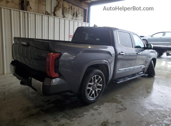 5TFMA5AB0PX025879 2023 TOYOTA TUNDRA Black უკანა მარჯვენა