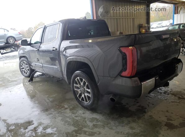 5TFMA5AB0PX025879 2023 TOYOTA TUNDRA Black უკანა მარცხენა