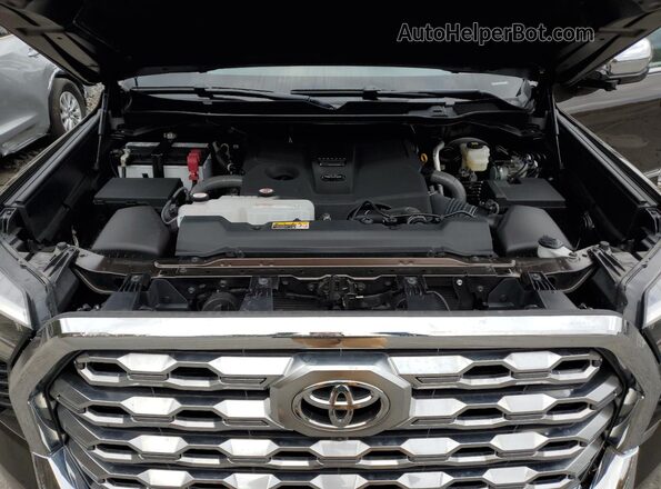 5TFMA5DB5SX271783 2025 TOYOTA TUNDRA Brown Widok wnętrza z tyłu