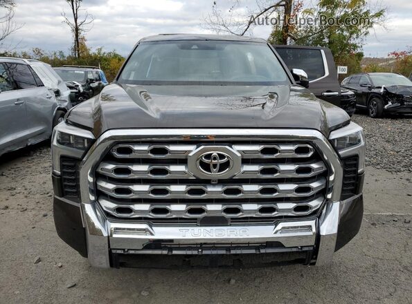 5TFMA5DB5SX271783 2025 TOYOTA TUNDRA Brown Widok z przodu
