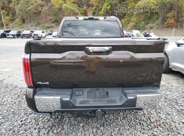 5TFMA5DB5SX271783 2025 TOYOTA TUNDRA Brown Widok z tyłu