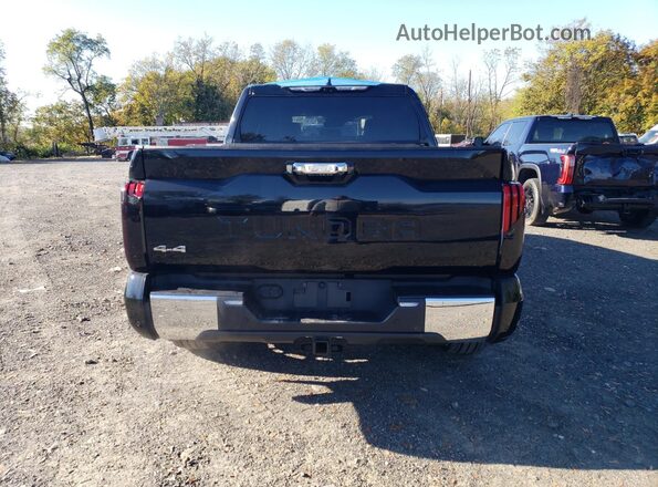 5TFMA5DB9PX080455 2023 TOYOTA TUNDRA Black Vista trasera