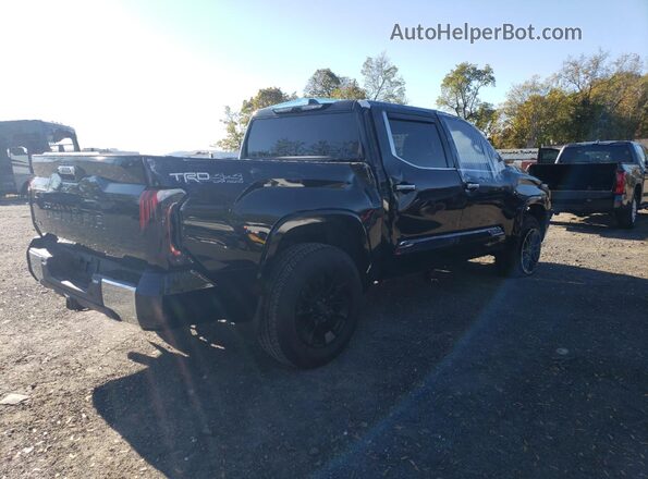 5TFMA5DB9PX080455 2023 TOYOTA TUNDRA Black Trasero derecho