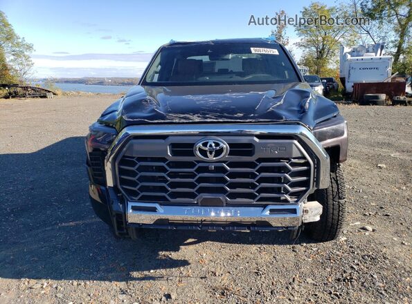 5TFMA5DB9PX080455 2023 TOYOTA TUNDRA Black Vista frontal