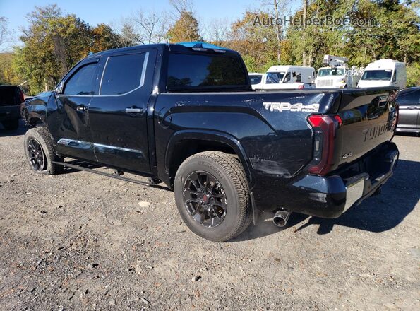 5TFMA5DB9PX080455 2023 TOYOTA TUNDRA Black Trasero izquierdo