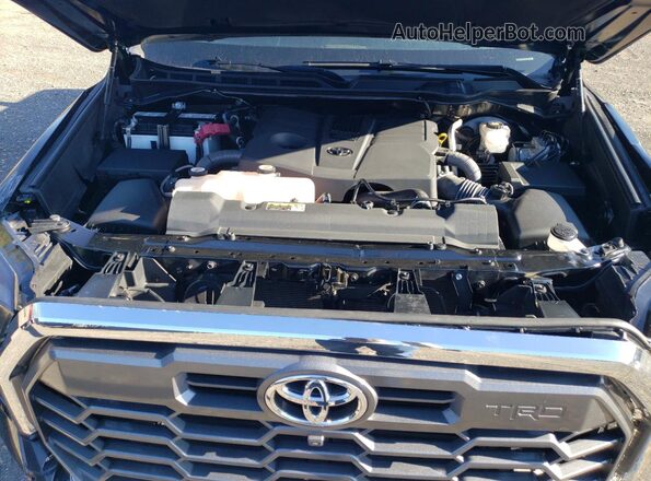 5TFMA5DB9PX080455 2023 TOYOTA TUNDRA Black Vista interior trasera