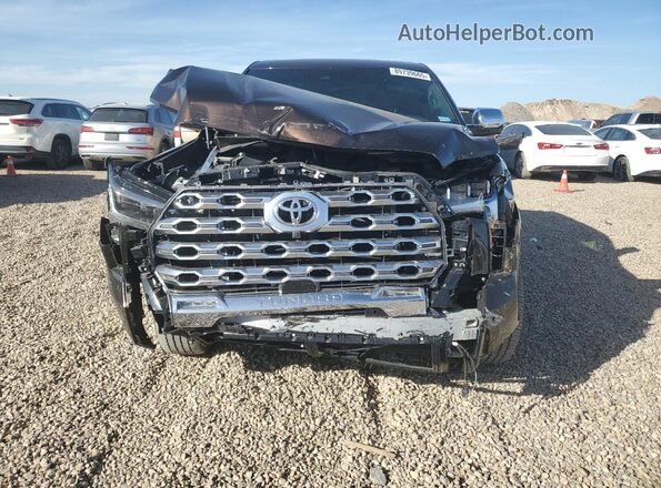 5TFMA5DB9RX191221 2024 TOYOTA TUNDRA Brown წინა ხედი