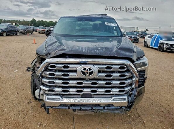 5TFMC5DB4SX094119 2025 TOYOTA TUNDRA Коричневый Вид спереди
