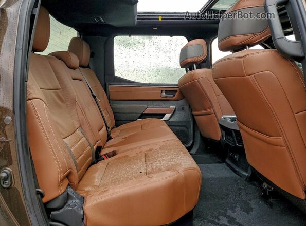 5TFMC5DB4SX094119 2025 TOYOTA TUNDRA Коричневый Вид задних сидений