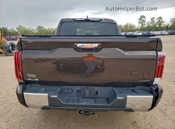 5TFMC5DB4SX094119 2025 TOYOTA TUNDRA Коричневый Вид сзади