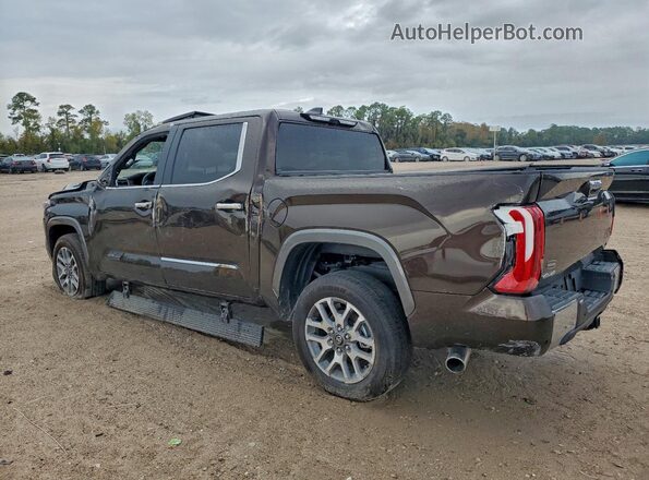 5TFMC5DB4SX094119 2025 TOYOTA TUNDRA Коричневый Задняя левая четверть