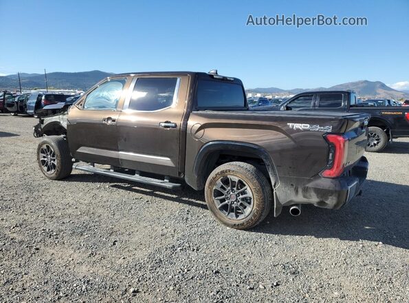 5TFMC5DB5RX080336 2024 TOYOTA TUNDRA Brown უკანა მარცხენა