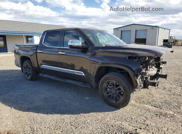 5TFMC5DB5RX080336 2024 TOYOTA TUNDRA Brown წინა მარჯვენა