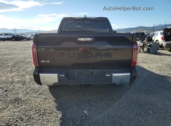 5TFMC5DB5RX080336 2024 TOYOTA TUNDRA Brown უკანა ხედი