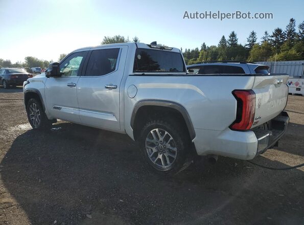 5TFMC5DB6PX018747 2023 TOYOTA TUNDRA White უკანა მარცხენა