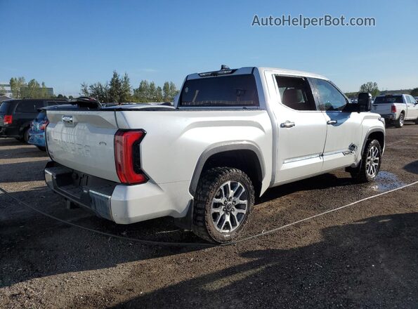 5TFMC5DB6PX018747 2023 TOYOTA TUNDRA White უკანა მარჯვენა