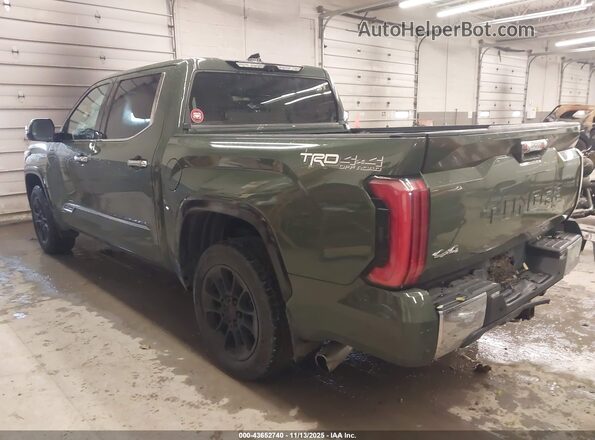 5TFMC5DB9PX029905 2023 TOYOTA TUNDRA HYBRID Green Հետևի ձախ