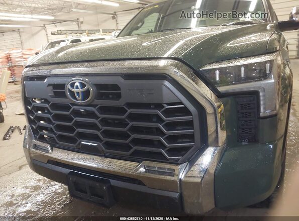5TFMC5DB9PX029905 2023 TOYOTA TUNDRA HYBRID Green Սալոնի հետևի տեսք