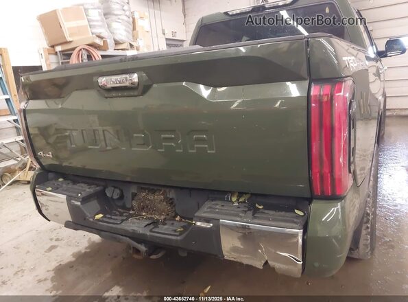 5TFMC5DB9PX029905 2023 TOYOTA TUNDRA HYBRID Green 