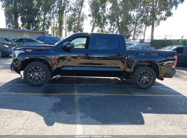5TFNA5DB2PX075215 2023 TOYOTA TUNDRA Черный Панорамный вид салона 360°