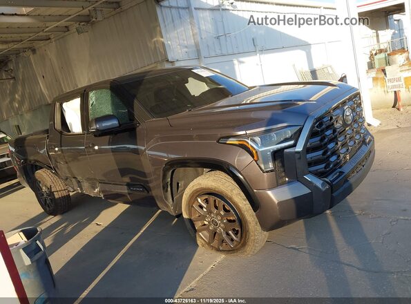 5TFNA5DB6PX098707 2023 TOYOTA TUNDRA Gray Вид задньої частини салону