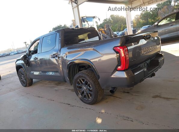 5TFNA5DB6PX098707 2023 TOYOTA TUNDRA Gray Панорамний вид салону 360°