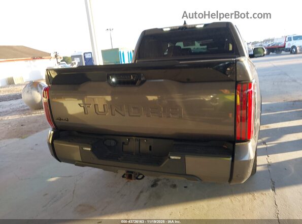 5TFNA5DB6PX098707 2023 TOYOTA TUNDRA Gray 