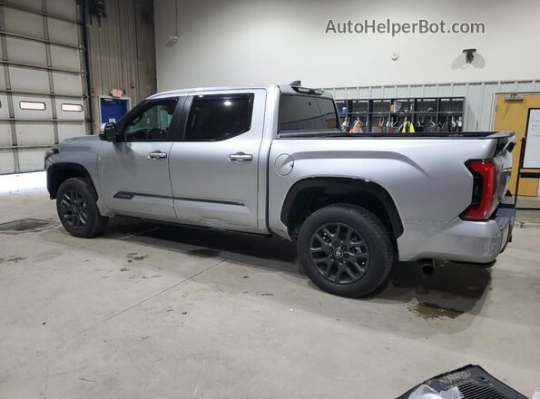 5TFNA5DB9SX317698 2025 TOYOTA TUNDRA Silver Trasero izquierdo