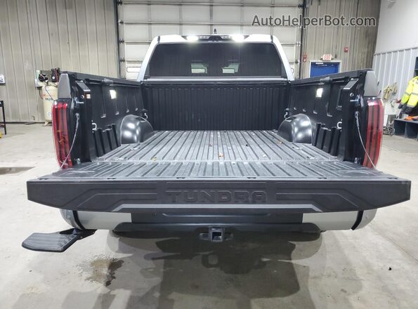 5TFNA5DB9SX317698 2025 TOYOTA TUNDRA Silver Vista trasera
