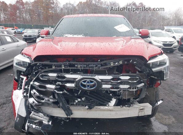 5TFNC5DB3PX036529 2023 TOYOTA TUNDRA HYBRID Красный Вид спереди