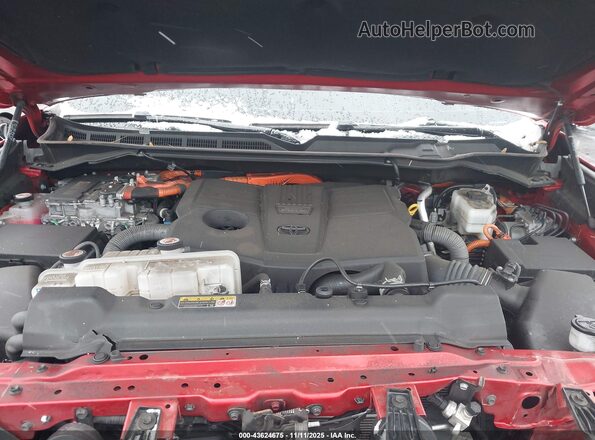 5TFNC5DB3PX036529 2023 TOYOTA TUNDRA HYBRID Красный Вид сзади
