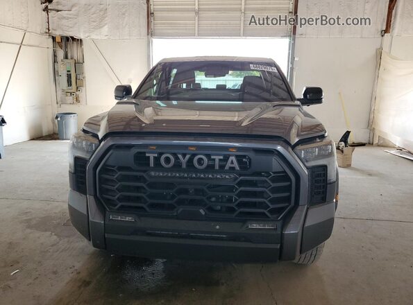 5TFPC5DB2RX054483 2024 TOYOTA LIMITED Серый Вид спереди